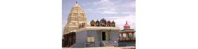 தென்பொன்பரப்பி